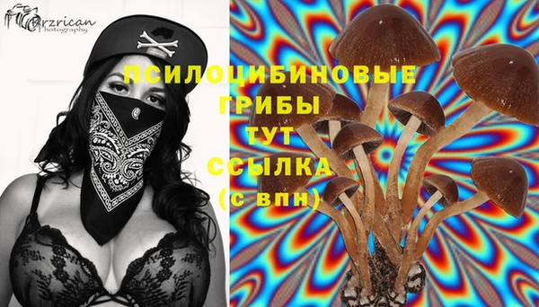 шишки Остров