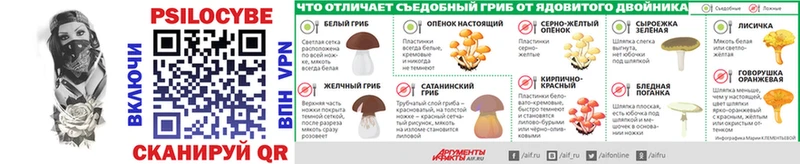 закладка Кораблино Псилоцибиновые грибы мухоморы
