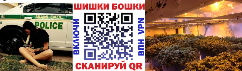 Каннабис ГИДРОПОН Кораблино